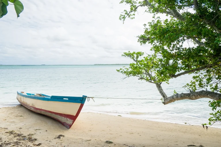 TongaOutreach2895-0010869