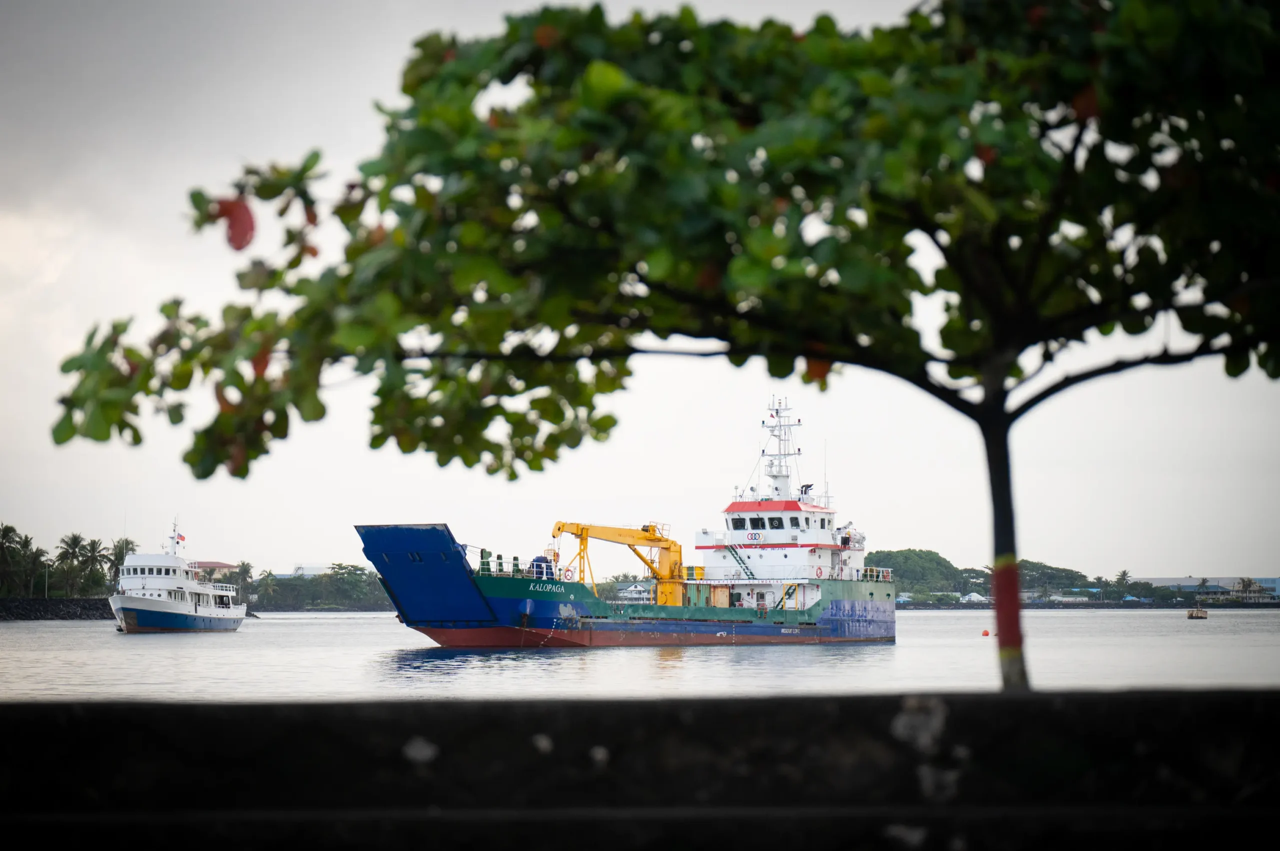 FHFNZ SM25 ClinicGeneral 25 0017969 1 scaled